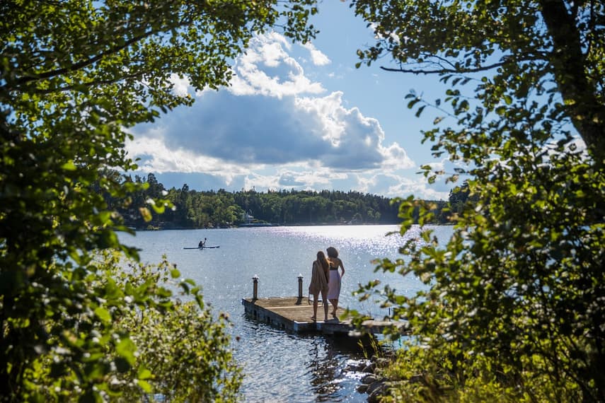 1-Day Small-Group Stockholm Nature Summer Hiking (Stockholm, SWE