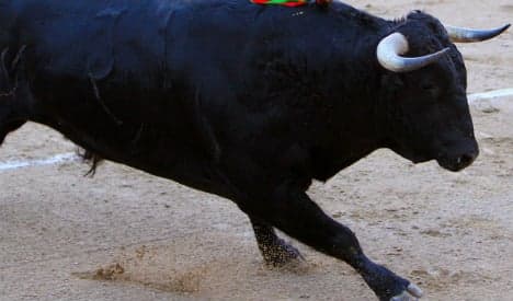 French tourist gored to death by bull in Spain