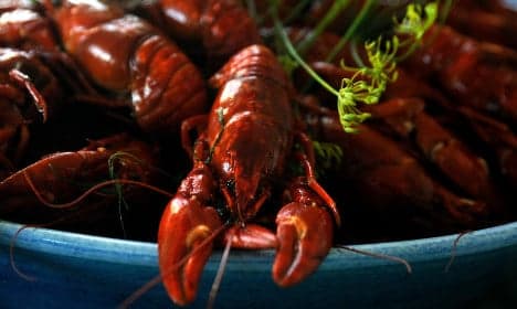 Swedish crayfish thieves pinched by officers