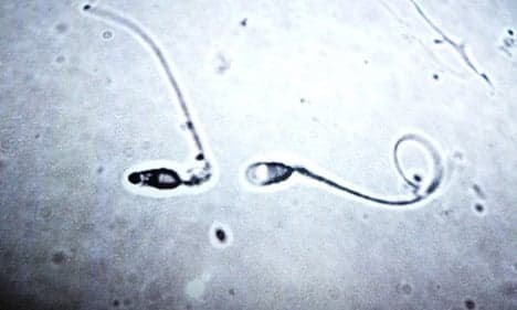French lab produces first in vitro human sperm