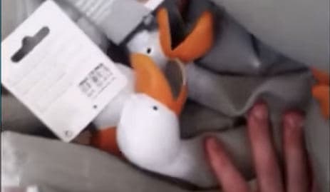 Norway 'Duck Army' video goes crazy viral