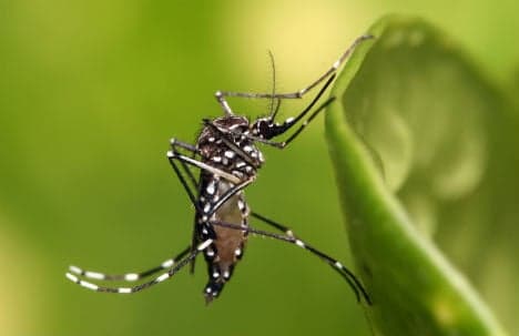 First confirmed case of Zika virus in Austria