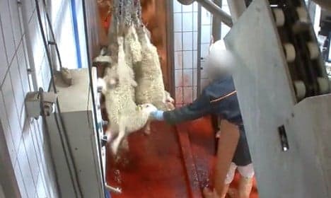 France urged to put CCTV in abattoirs after shock videos