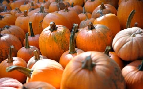 The rise and rise of the pumpkin in Germany