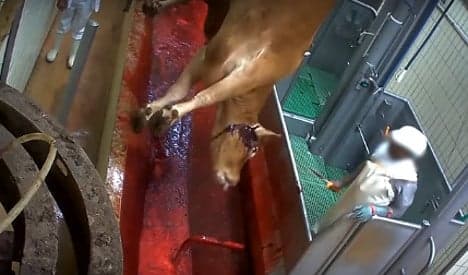 New abattoir video of unborn calves leaves France shocked
