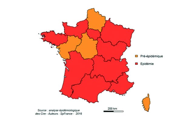 Flu epidemic sweeps across France one month early
