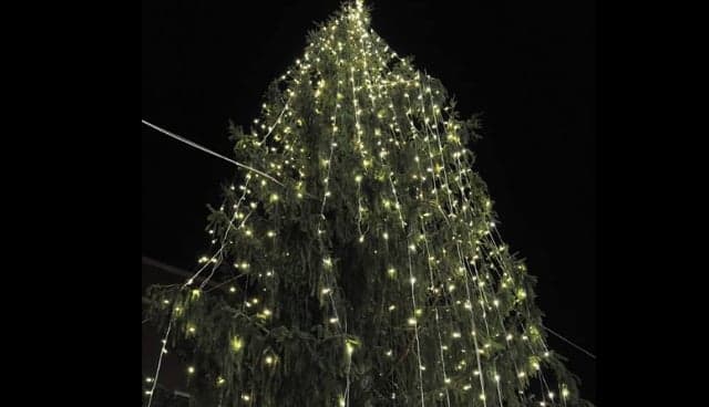 Is Rome's Christmas tree really the ugliest in the world?