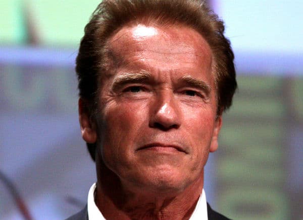 Schwarzenegger: US immigration ban is 'crazy'