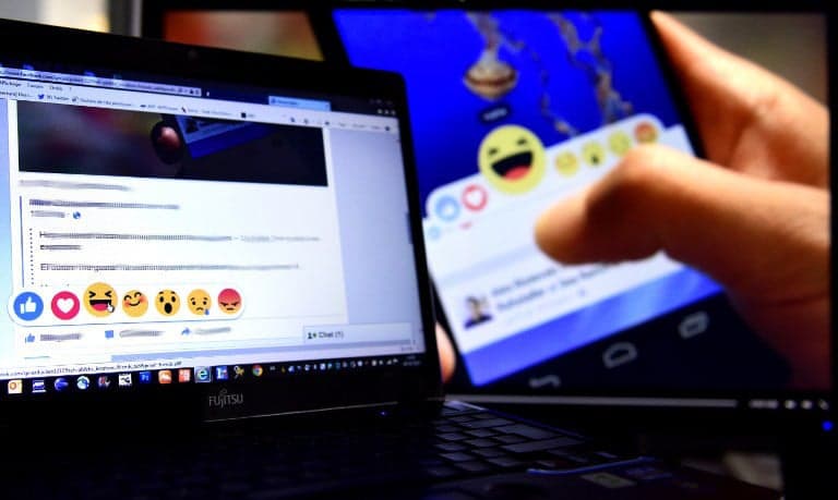 Frenchman fined €5,000 for calling kid a 'fat pig' on Facebook