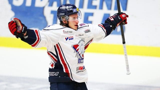 Swedish ice hockey star faces assault charge over fight during game