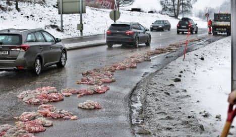 'Offal accident': Animal guts spilt on Norway road