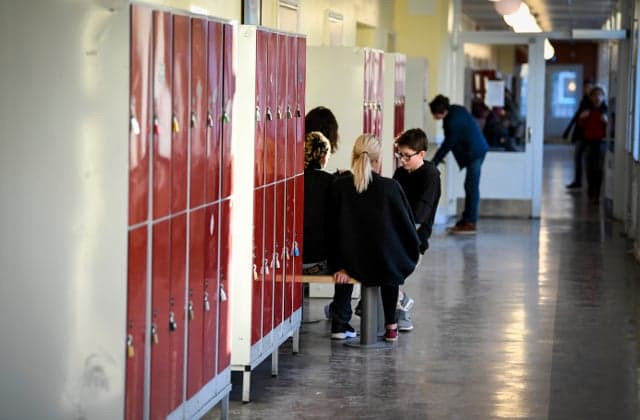 Deregulation and freedom of choice have hurt Sweden's schools: Pisa head
