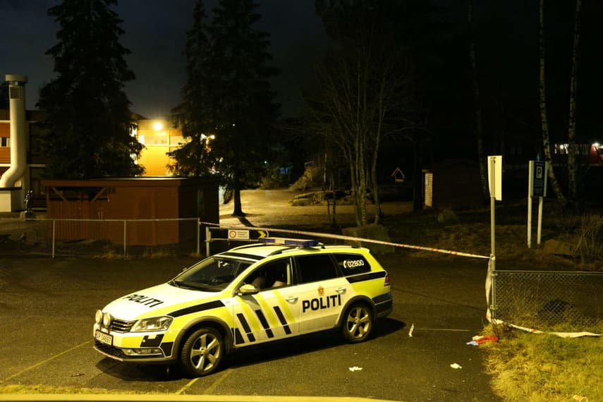 Youth gangs behind repeated Oslo trouble: police