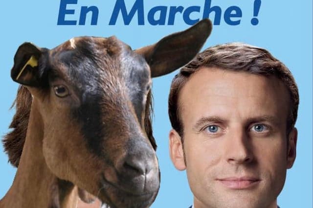 Analysis: Desire for change saw the French ready to elect 'goats, donkeys and hippos'