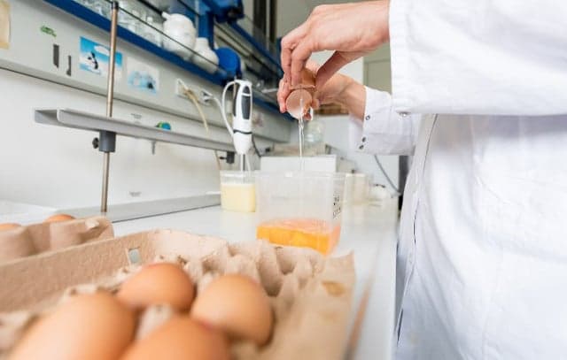 250,000 contaminated eggs sold in France since April