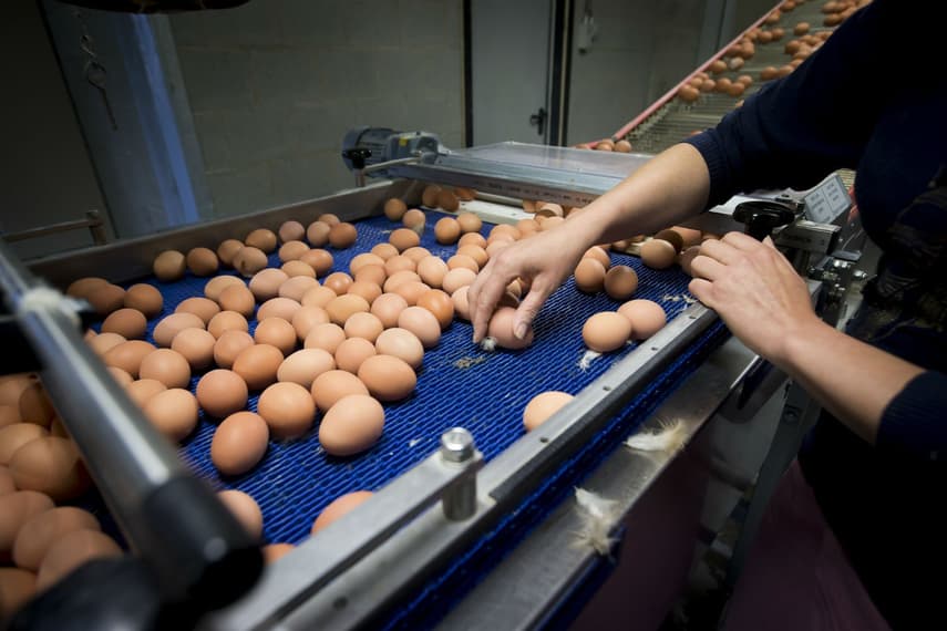 Poland and Slovakia find 'tainted' eggs imported from Germany