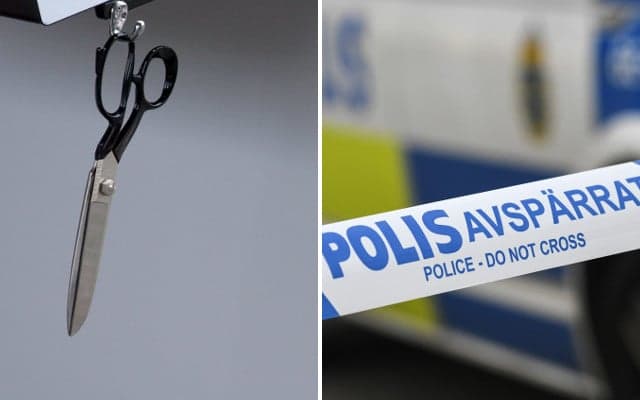 Relative 'used scissors to stab victim's neck' in suspected honour killing in Sweden