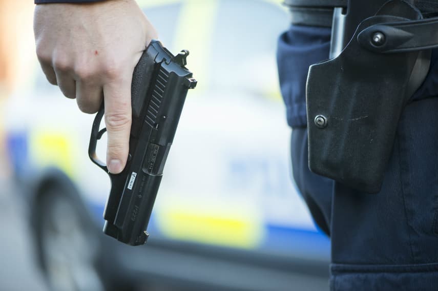 Swedish police fired warning shot at man armed with sword: report