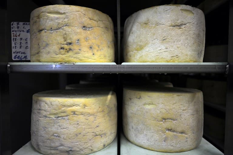 China reverses ban on Italian Gorgonzola and other stinky cheese