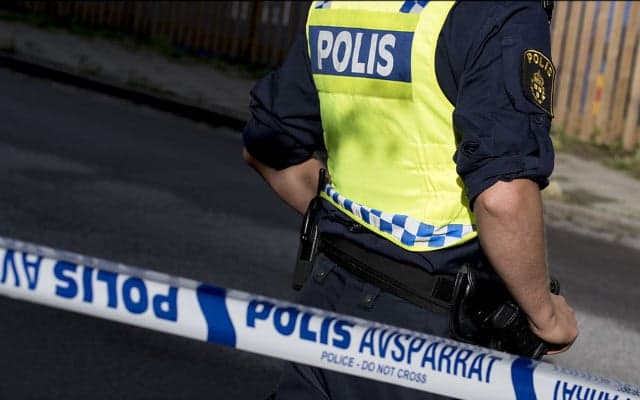 800 young men active in criminal networks across three biggest Swedish cities