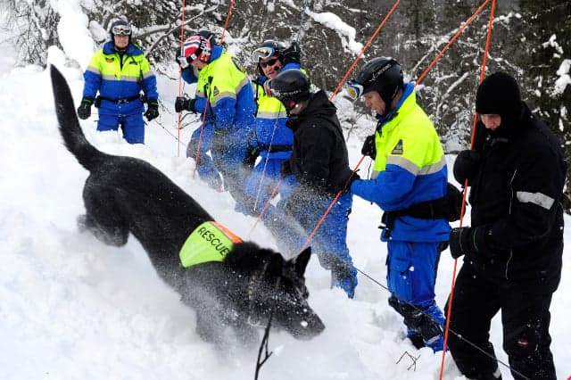 Swedish mountain rescues hit all-time high