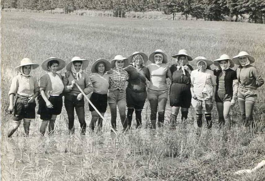 How women weeding Italy's rice fields took on fascism and became heroines of the left