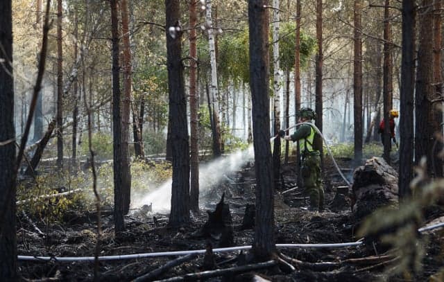 Sweden forest fires: Weekend of rain brings huge improvements