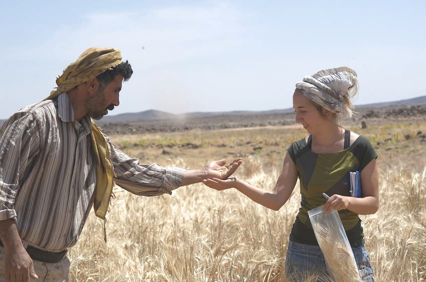 Danish archaeologists find 14,000 year-old bread in Jordan