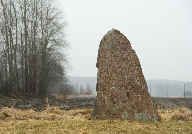Cyclist saves ancient rune stone from being crushed