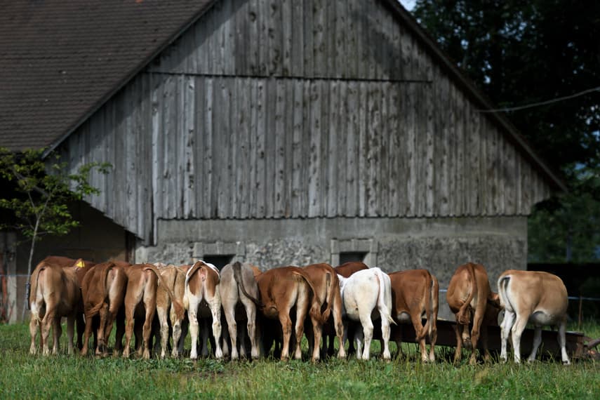 Swiss reject agriculture schemes in national vote