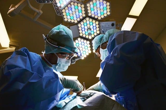Doctors in Milan successfully treat spina bifida in unborn baby