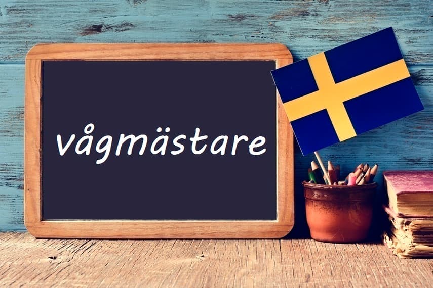 Swedish word of the day: vågmästare