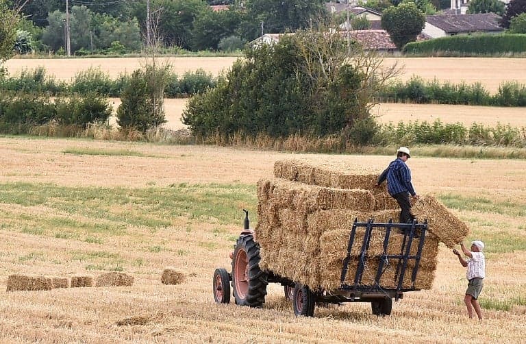 ANALYSIS: 'Farming doesn’t feed us': The story of France's ailing agriculture