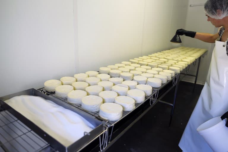 6,000 Camembert cheeses recalled in France in E.Coli scare