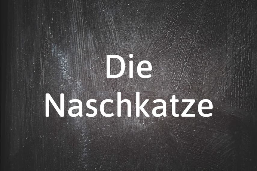 German Word of the Day: Die Naschkatze