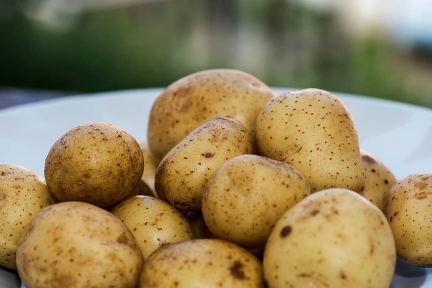 Danish farm sells potatoes for 1,500 kroner per kilo