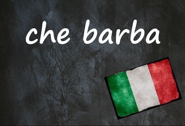 Italian expression of the day: 'Che barba'