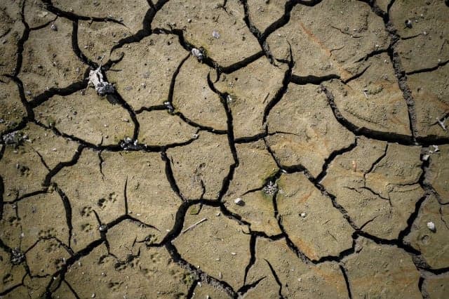 Q&amp;A: Just how bad is the drought situation in France?
