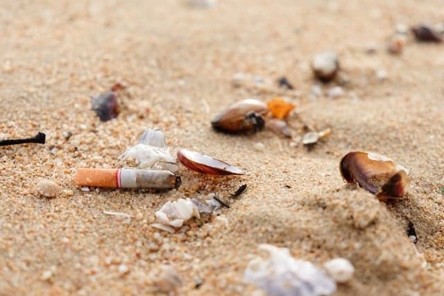 Ban smoking on Italian beaches: consumer watchdog