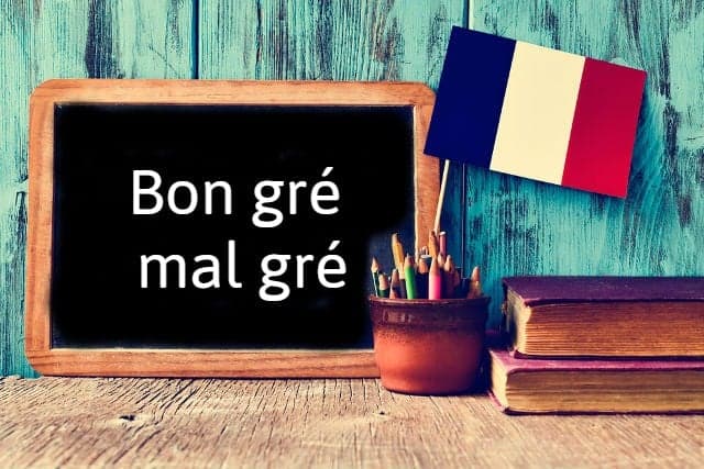 French Word of the Day: bon gré, mal gré