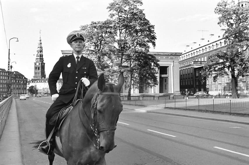Danish police struggle for hooved recruits to form new horse unit