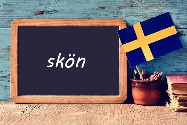 Swedish word of the day: skön