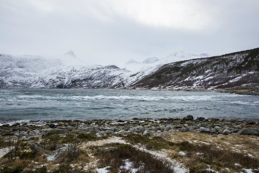 'Scary' depopulation of northern region of Norway hits record high