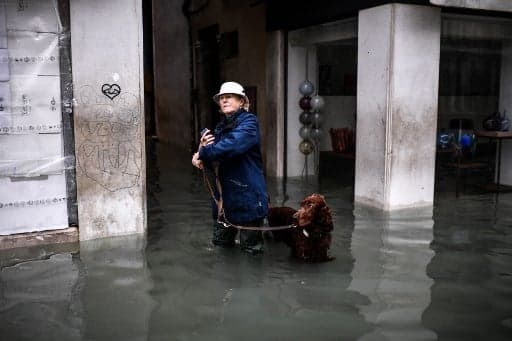 'Venice is on its knees': Venetians angry after record flooding devastates city