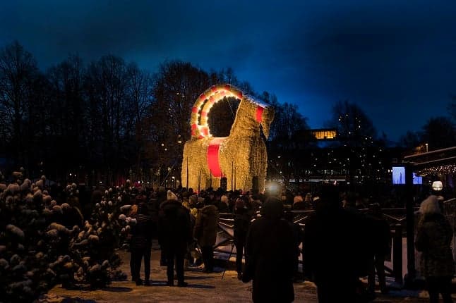 IN PICTURES: Sweden's infamous Christmas goat returns for the festive season