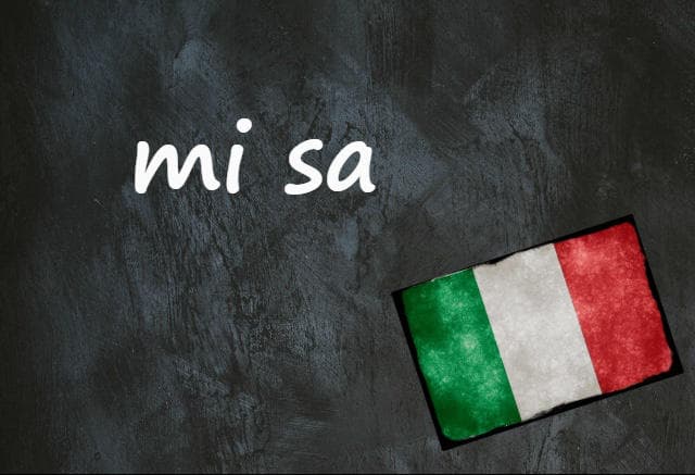 Italian expression of the day: 'Mi sa'