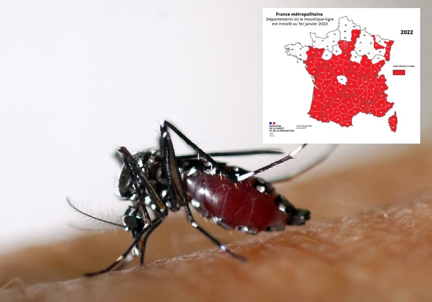 MAP: 'Deadly' tiger mosquitoes have now colonised 70% of France