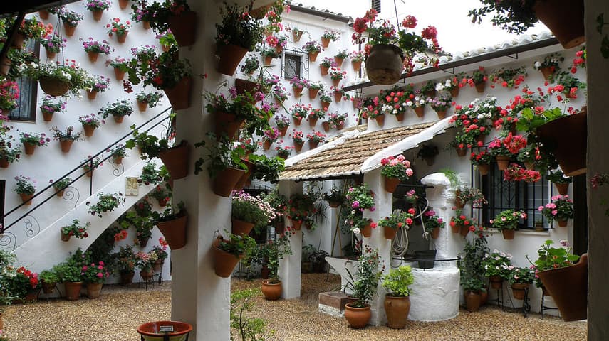 Why you should go to Córdoba's mesmerising Patios Festival
