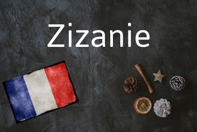 French word of the Day: Zizanie