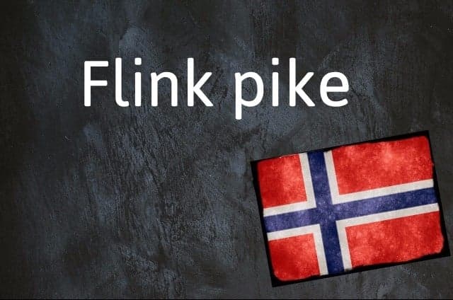 Norwegian expression of the day: Flink pike